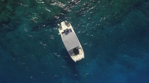 Aerial Top View Pull Out Boat Anchored, Person snorkeling, reveal two boats Stock Footage 95861059