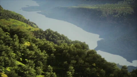 Aerial top view of rainforest ecosystem and healthy environment Stock Footage 229647561