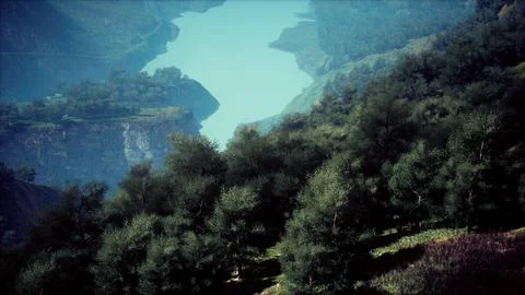 Aerial top view of rainforest ecosystem and healthy environment Illustrazione stock
