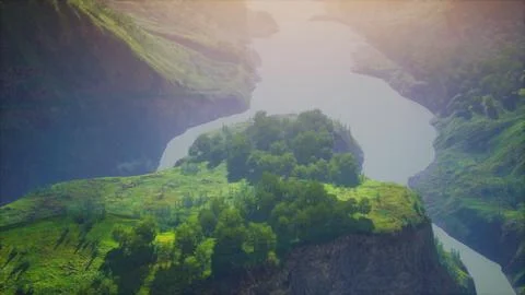 Aerial top view of rainforest ecosystem and healthy environment Illustrazione stock