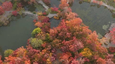 Aerial top view of red maple forest and lake at Tianping Mountain Suzhou Stock Footage 345626690