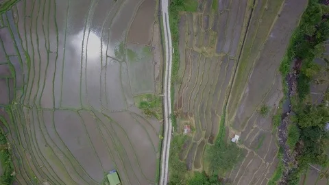 Aerial top view of rice terraces at Jatiluwih located in Tabanan, Bali Stock Footage