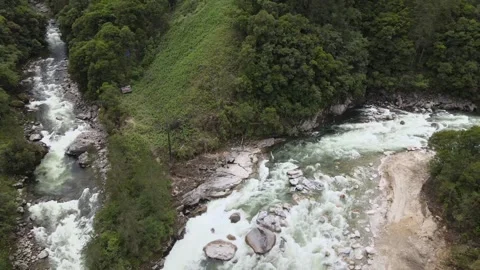 Aerial Top View of River Flowing Through Forest in Anini Stock-Footage 331063557