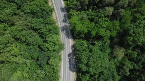 Aerial top view of road in forest. Drone footage. Natural landscape. Stock Footage 242331393