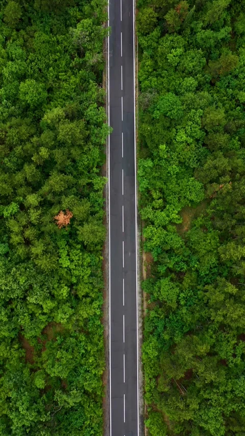 Aerial top view of a road in forest 스톡 동영상 286301219