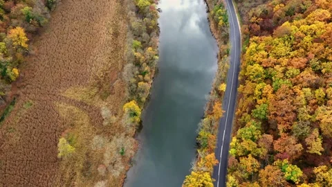 Aerial top view of a road in forest near to a river at autumn 스톡 동영상 287117751