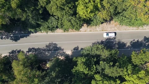 Aerial Top View of Road Through Green Forest with White Car Driving Stock Footage 346700447
