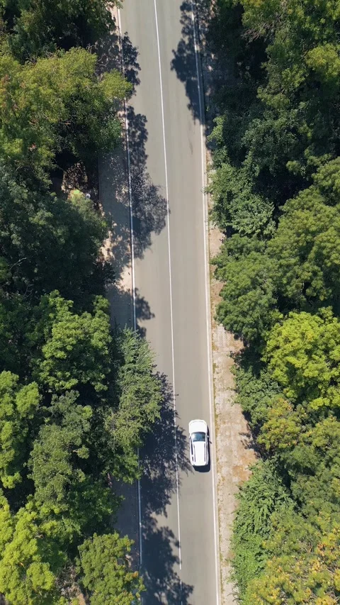 Aerial Top View of Road Through Green Forest with White Car Driving Stock Footage 346700533
