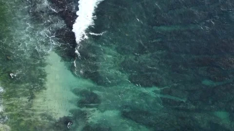 Aerial top view of roiling ocean waves over reef with turquoise water Video stock 332295470