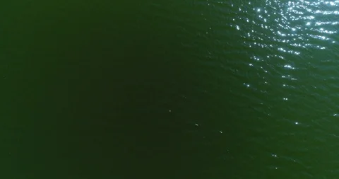 Aerial top view rower  Stock Footage 87939526