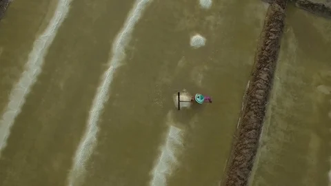 Aerial top of view of salt worker gathering salt on the salines, Cambodia Stock Footage 83535289