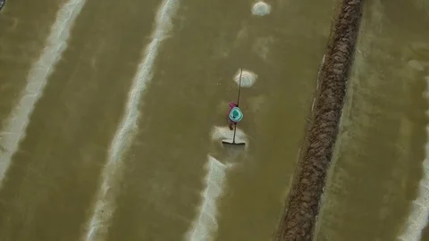 Aerial top of view of salt worker gathering salt on the salines, Cambodia Stock Footage 83535290