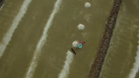 Aerial top of view of salt worker gathering salt on the salines, Cambodia 스톡 동영상 83535291