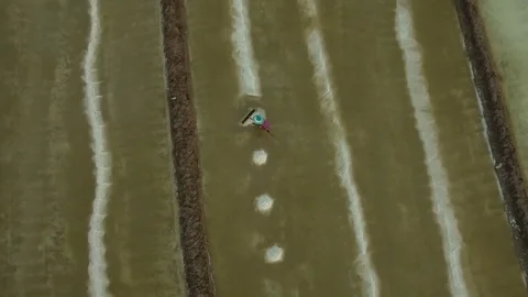 Aerial top of view of salt worker gathering salt on the salines - Cambodia Stock Footage 83535296