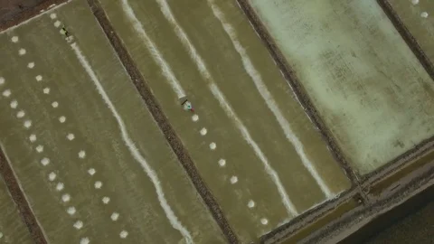 Aerial top of view of salt worker gathering salt on the salines,  Cambodia Stock Footage 83535298