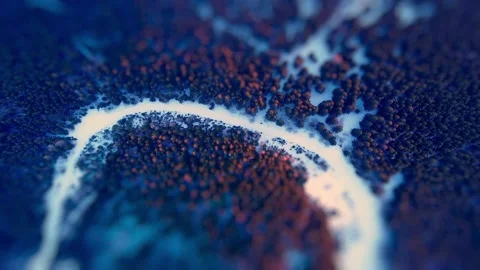 Aerial top view. Scenic light of sunset on the tops of winter spruces, out of Vídeo Stock 234616725