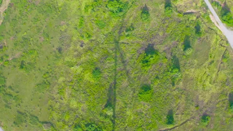 Aerial top view of shadow of wind turbines or windmills farm field in industr Stock Footage