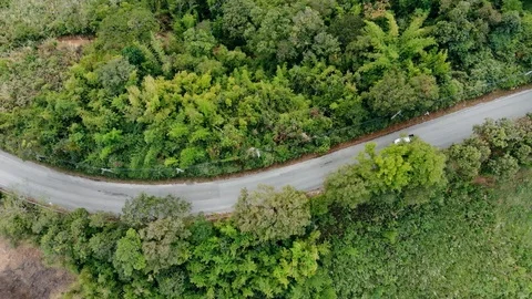 Aerial top view of sky road over top of mountain green jungle Vidéo 106425880