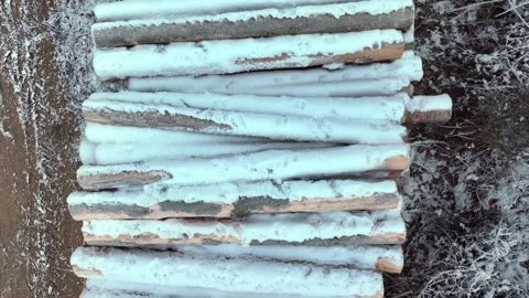 Aerial Top View of Stacked Timber Logs in Winter Stock Footage 328831504