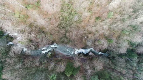 Aerial top view of stream and forest Stock Footage 145242085