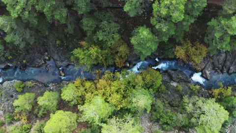 Aerial top view of stream in forest. 4K Footage in Turkey Stock Footage 209649160