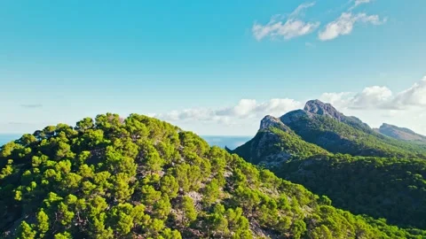 Aerial top view of a sunset over a green forest with many trees from a drone. Stock Footage 197487252