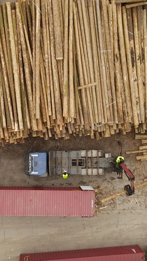 Aerial Top View Of Timber Loading Process At Industrial Lumber Yard Stock Footage 333407352