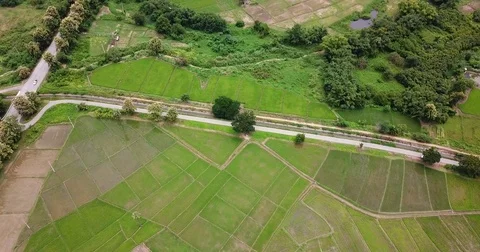 Aerial top view top view of the road through the trees, Video stock 79530928