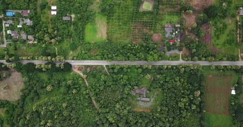 Aerial top view top view of the road through the trees, Video stock 79531709