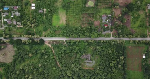 Aerial top view top view of the road through the trees, Video stock 80020088
