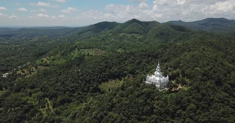 Aerial top view top view of the road through the trees, Video stock 80022437