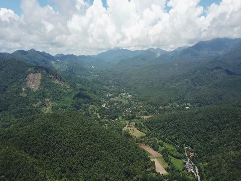 Aerial top view top view of the road through the trees, Video stock 80022484