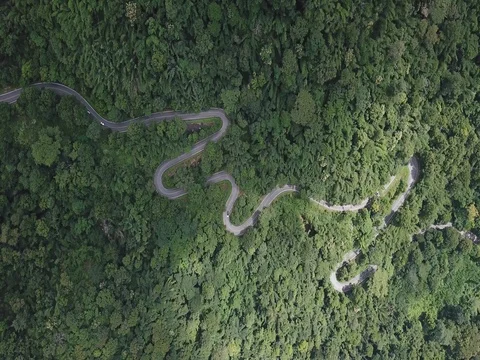 Aerial top view top view of the road through the trees, Video stock 80024613