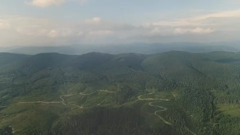 Aerial Top View. Top View Of The Road And The Trees In The Mountains. Stock Footage 110744538