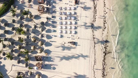 Aerial top view of tourists relaxing on sun loungers under palm trees Stock Footage 272261753