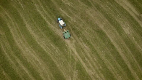 Aerial top view of tractor rides on field after harvesting and makes haystacks. Vidéo 124664532