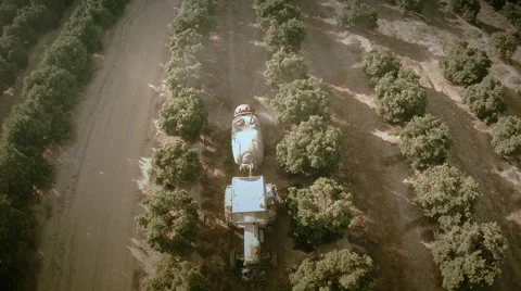 Aerial top view of a tractor working on a field of orange trees. Seville, Spain. Stock Footage 40548951