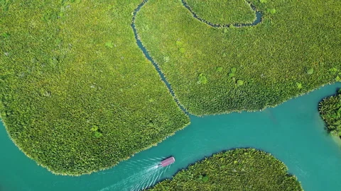 Aerial top view of tropical river in jungle and small boat Stock Footage 344743799