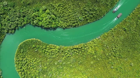 Aerial top view of tropical river in jungle and small boat Stock Footage 344744230