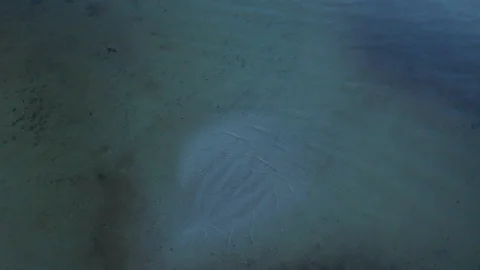 Aerial top view waves break at coast at evening Stock Footage 104631653