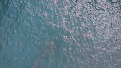Aerial top view waves break on reef in a blue ocean Stock Footage 130448809