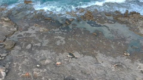 Aerial top view of the waves breaking on the rocks of Mola di Bari, Apulia. B Stock-Footage 152092109
