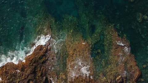 Aerial Top View Waves Crashing on Lava Rocks, Tenerife, Canary Islands Stock-Footage 336317531