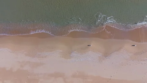 Aerial top view waves rolling onto sandy beach coastline Stock Footage 328143092