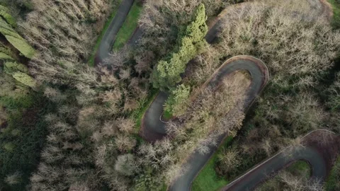Aerial top view of winding road from the high mountain pass in forest scenery Stock Footage 169976697
