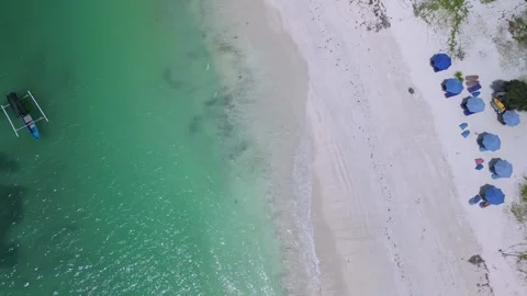 Aerial TopDown Blue Umbrellas Aligned On White Sand 스톡 동영상 329586495