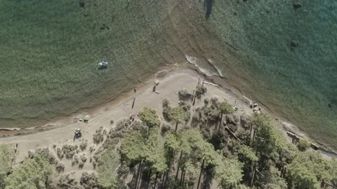 Aerial topdown forest to emerald clear water Lake Tahoe summer US LKT DJI 0013 A Stock Footage 140291990