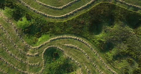 Aerial topdown shot of hayfields Stock Footage 282851266