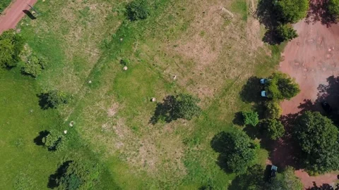 Aerial topdown of tropical countryside fields during summer night in Nobres.. Stock Footage 268708989