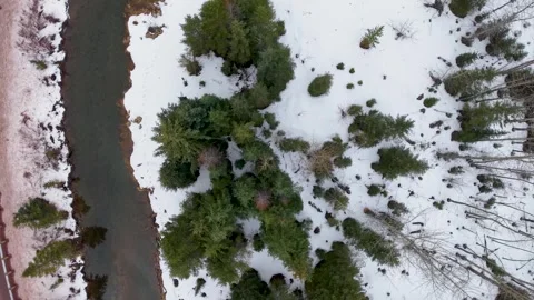 Aerial topdown view of river and pine trees in Montana Stockbeeldmateriaal 331605307